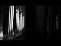 Verbo Carne - Gustavo Cerati