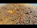 Download Lagu How to make MALVA PUDDING (Simple, Easy, Super Delish) - Kosmeester Kortes