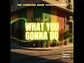 Tell Me What You Gonna Do (Reggae, EDM, Rastaman Edit)