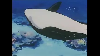 اسرار المحيط 17 