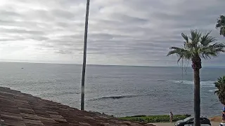 Scripps Inn Live Cam La Jolla California