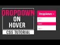Dropdown On Hover CSS Pure CSS Tutorial
