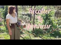 Download Lagu Semer la joie, récolter le bonheur. 🧙‍♀️🌸🪄