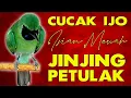 Download Lagu ISIAN BIKIN JURI NGUMPUL, CUCAK IJO BONGKAR TEMBAKAN PEDAS PEDAS PELATUK SAMPIT