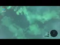 How to skip Lost Woods BotW