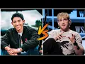 Fernanfloo Vs Logan Paul Lifestyle Comparison Facts Bio Wiki