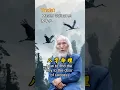 Download Lagu I can solve some of your problems with feng shui. I'll tell you on WhatsApp. #fengshui