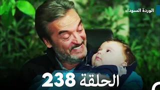 الوردة السوداء الحلقة 238 