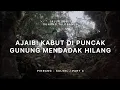 Download Lagu GUNUNG TALOBANUA - Jalur Sunyi Sulawesi Selatan (Pinrang) #4