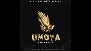 quayr musiq ft m j mellow u0026 sleazy umoya audio 