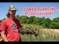 Behind the Scenes Pick-your-own cut flowers Carrigan Farms - Mooresville North Carolina