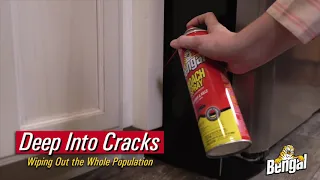 Bengal Roach Spray Distributor 30