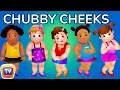 Chubby Cheeks Nursery Rhyme - Love All Help All