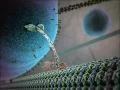 Kinesin protein walking on microtubule