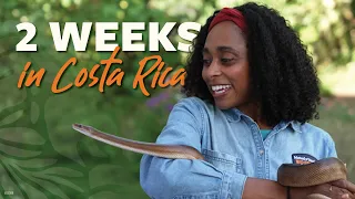 Venomous Snakes Sea Turtles Tapir Valley 2 Weeks in Costa Rica with Dr Rae