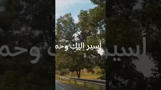 تمر ببالي كطيف جميل 