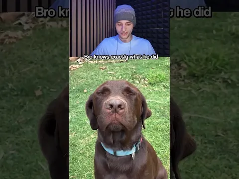 Bro knows exactly what he did
