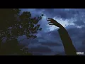 nvrmore - lei