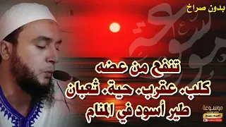 رقية شيطان كلب أسود ساحر تقوى مع كل ظلام وغروب وسحر مع كل شروق هيج الشهوة الراقي نعيم ربيع 