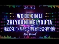 Download Lagu Wo De Xin Li Zhi You Ni Mei You Ta 我的心里只有你没有他 - NO VOCAL