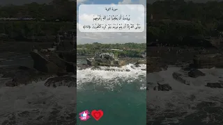 يريدون ان يطفئوا نور الله بأفواههم ويأبى الله إلا أن يتم نوره ولو كره الكافرون سورة التوبة 