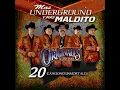 Tu Nuevo Carinito