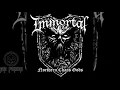 Download Lagu Immortal - Mighty Ravendark