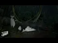 Surf's Up: I Can Fix It (HD MOVIE CLIP)