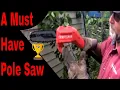 CRAFTSMAN 14-Foot 12 Volt Pole Saw