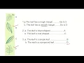 How to make a Dichotomous Key