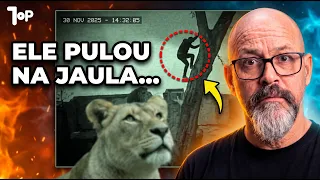 Ele pulou na jaula da leoa... O que a mídia NÃO te contou