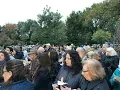 WATCH TAPinto Westfield Weekly News Recap Nov 3