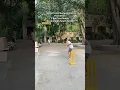 Download Lagu World Test Championship Final 2025🏆 Australia VS South Africa 3 Ball Gully Cricket Test Match😂🏏🏆
