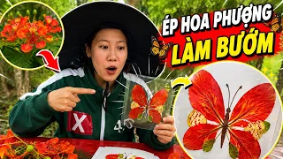 ÉP HOA PHƯỢNG LÀM BƯỚM