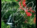 Lagu And I love you so By Don Mclean lyrics