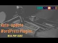 Auto-Updates for WordPress Plugins Themes in Code