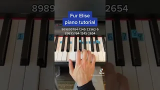 Fur Elise Easy Piano Tutorial  Fur Elise Easy Piano Tutorial