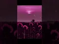 Lagu Into your arms | Edited audio | Slowed + Reverb