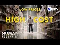 Download Lagu How Supermarkets Rewired The Planet