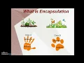 object oriented programming concepts in tamil part3 - encapsulation