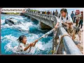 Download Lagu Cô Bé Liều Mạng Cứu Em Gái Té Rơi Xuống Sông Mất Tích, 20 Năm Sau Thành Nữ CEO Trở Về Tìm Người Thân