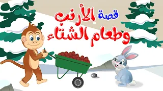 زاد الحكايا قصص اطفال قصص قبل النوم الأرنب وطعام الشتاء 