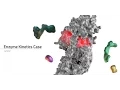 Download Lagu Labster Virtual Lab: Enzyme Kinetics Simulation