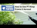PT Wasp Freeze II Wasp Hornet Killer DoMyOwn com