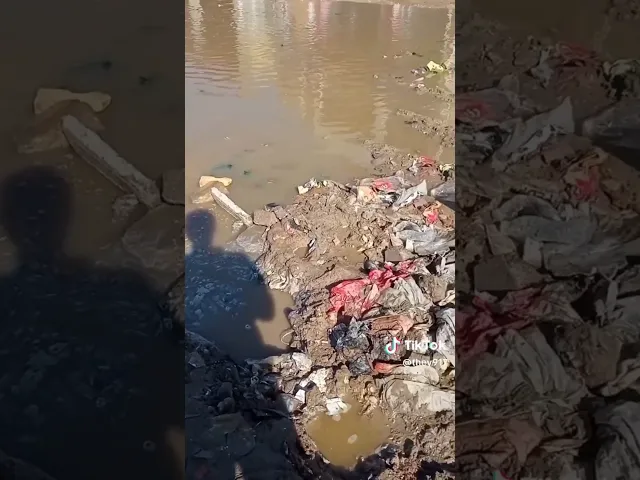 ⁣ولله كلامك صحيح ولحد يكول لا.. 🤔🙏❤||شيخ أحمد الوائلي