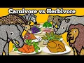 Carnivore vs Herbivore Safari Animals Let s Draw Color Wild Animals and Learn Fun Animal Facts