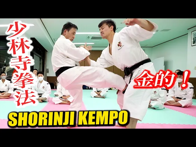 Video: 【Shorinji Kempo】Various groin attacks! Control the enemy while apologizing!