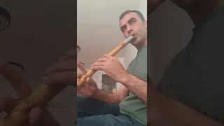 كوله              حجاز تركي على الكوله   تصوير دندنها