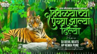 wagh maidanat alya alya dj song dj devil beatsxhp remix