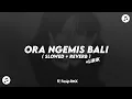 Download Lagu DJ ORA NGEMIS BALI ( SLOWED + REVERB )🎶 + Lirik